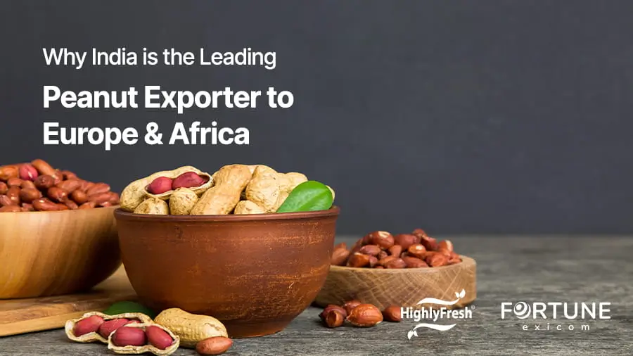 Why India is the Leading Peanut Exporter to Europe & Africa